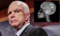 John McCain on politics