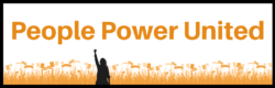 Power Belongs to the People: Peace, War, and Public Accountability