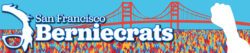 SF Berniecrats candidates