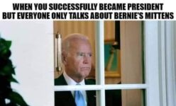 Bernie’s Mittens
