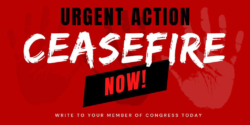 Ceasefire Now!