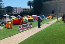 [Update] USF Starts Clearing Gaza Encampment, Protesters Mad Because They Claim They Said They’d Leave Willingly