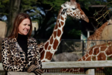Exclusive: San Francisco Zoo board member resigns over lack of action on CEO