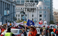 Tesla Driver Charged With Assault and Elder Abuse For Allegedly Running Down Protester at ‘No Kings’ March