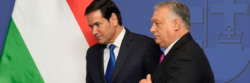 ‘Wake Up Before It’s Too Late,’ Says AOC as Rubio Embraces Autocrat Orbán