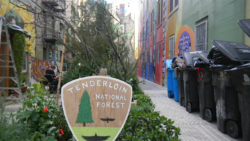 Tenderloin National Forest