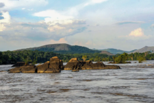 Karma:  California millionaire on hunt in Africa killed by elephants