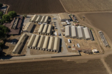 Can California block new ICE detention centers? This Bay Area county is putting it to the test